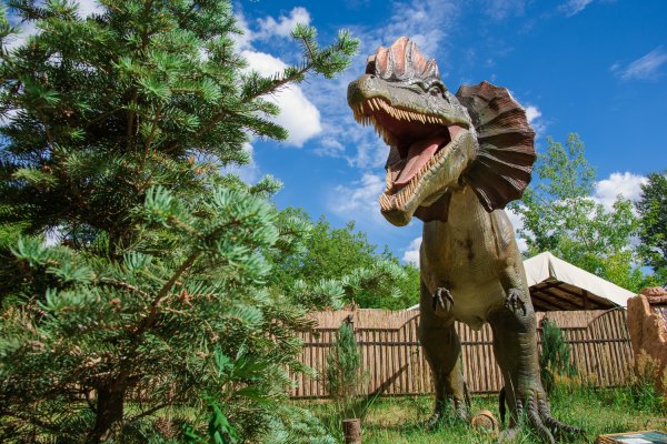 Динопарк сказка в Крылатском