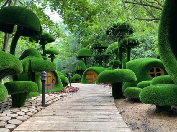 Топиари парк айва