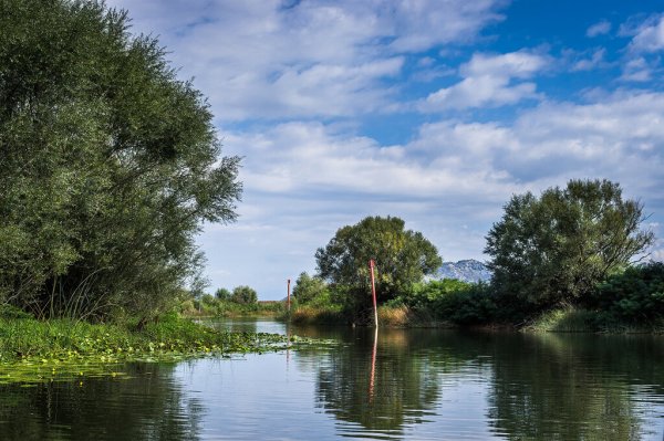 Озеро богатое Воронежская область