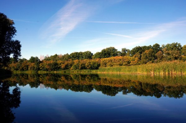 Река Битюг Воронежской области