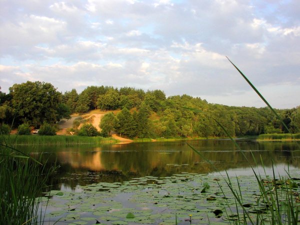 Река Тахтарка Павловск Воронежской