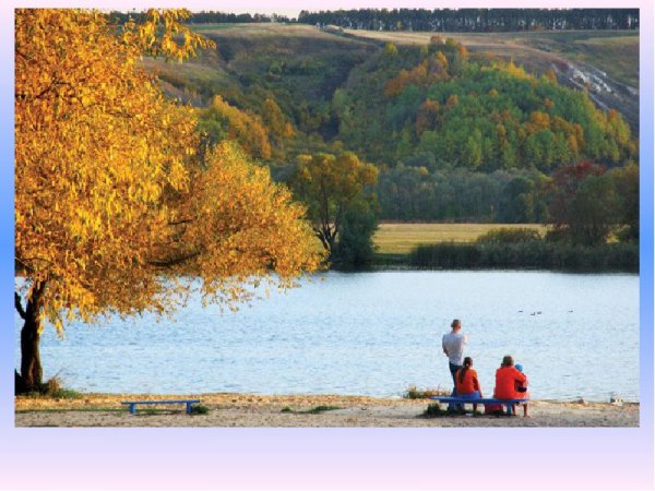 Город Лиски озеро богатое