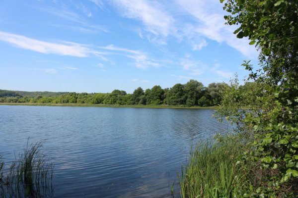 Озеро богатое