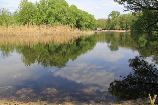 Река Икорец