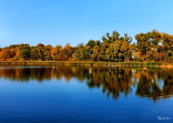 Пруд Землянск Воронеж