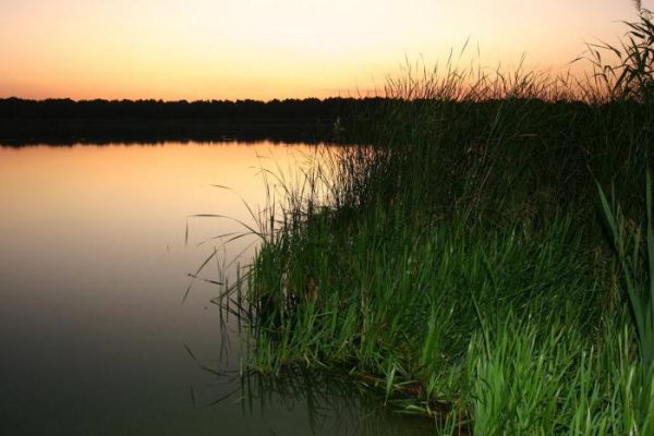 Озеро Погоново Воронежская