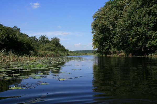 Река Битюг Воронежской области