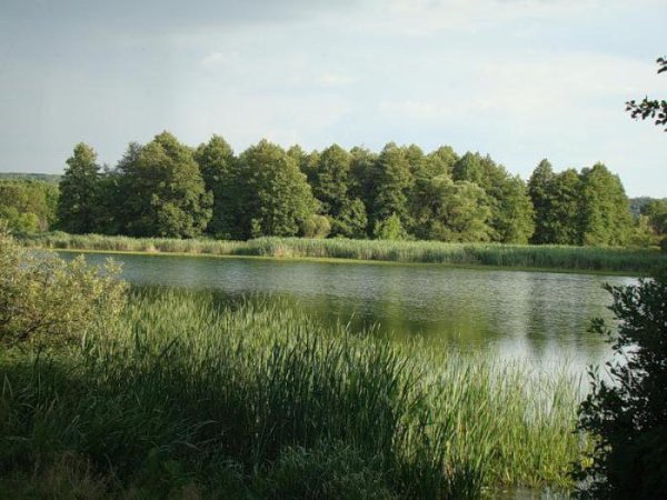 Бабье озеро Воронежская