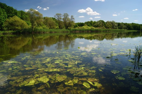 Река Битюг в Панинском районе