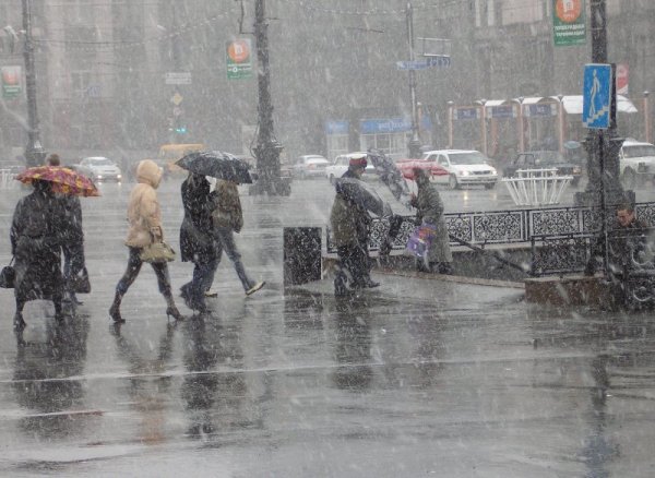 Дождь в марте