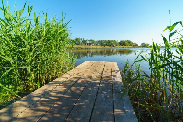 Ясенский пруд Воронеж