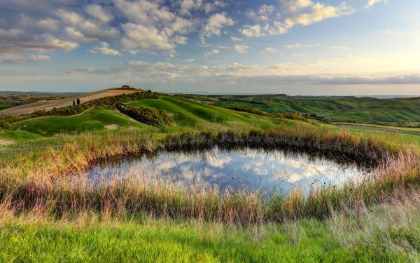 Озеро в поле