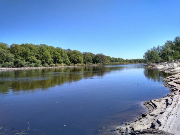 Воронежский заповедник река Ивница