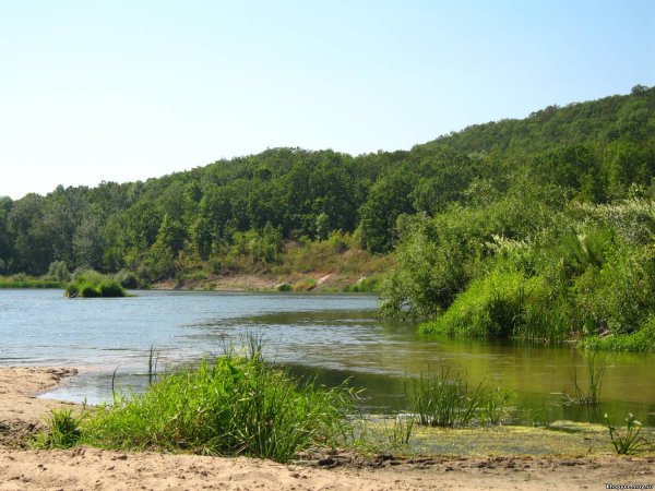 Река Карачан Воронежская область