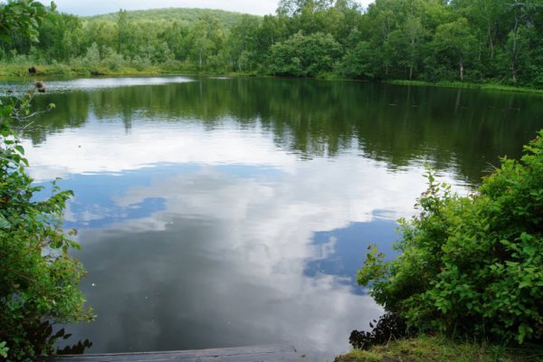 Бабье озеро Воронежская