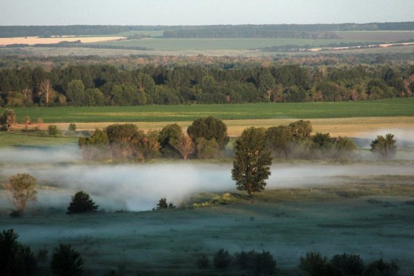 Жировский лес