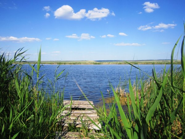 Белое озеро (Чувашия)