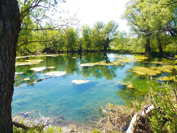 Голубое озеро Воронеж