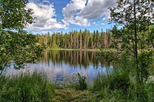 Валаам леса озера