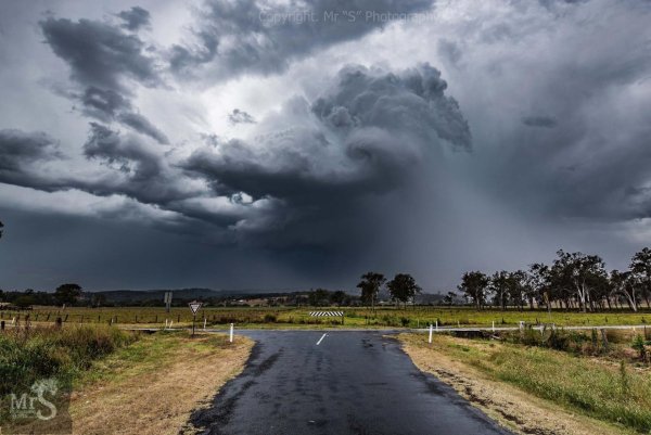 Черная погода