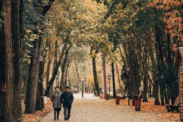 Центральный парк Липецк