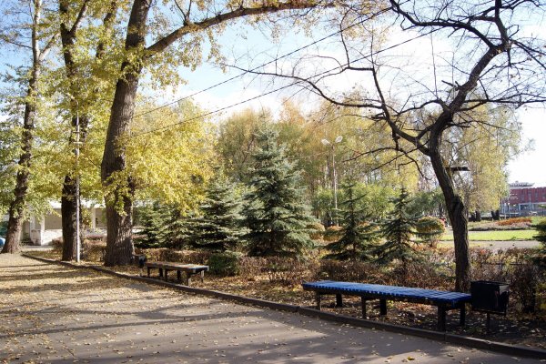 Липецкий Нижний парк