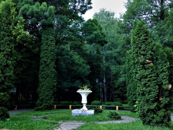 Дендрологический парк Силва