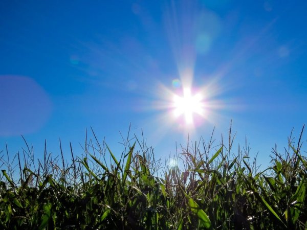 Солнечная жара