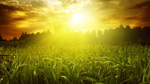 Утреннее солнце