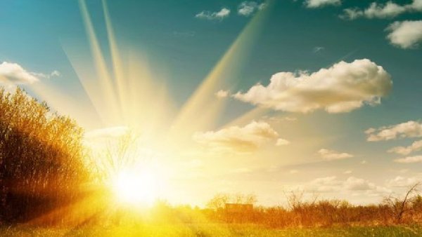 Жаркий Солнечный день