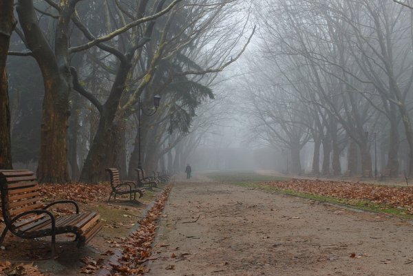 Поздняя осень дождь