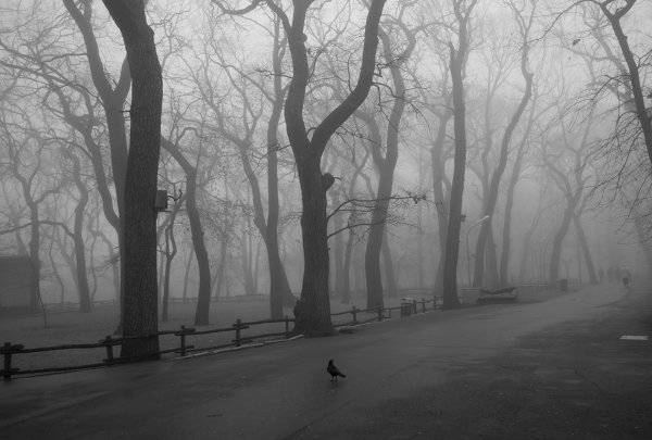 Серый осенний город