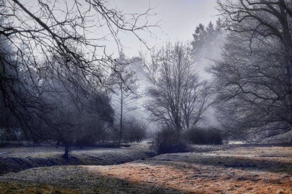 Серая осень
