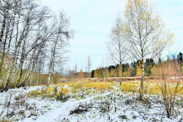 Поздняя осень фото