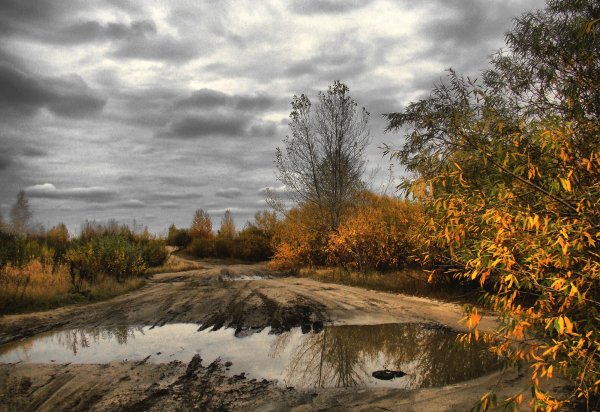 Пасмурная осень