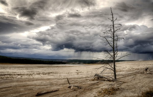 Пасмурная природа