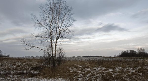 Поле поздней осенью