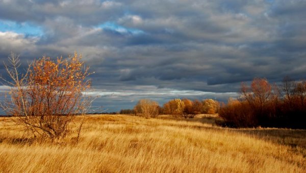 Поздняя хмурая осень