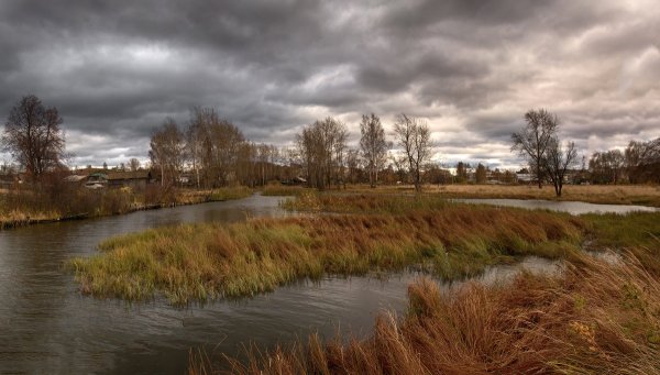 Пасмурная поздняя осень