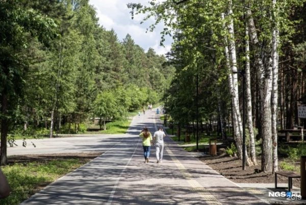 Заельцовский парк 2022