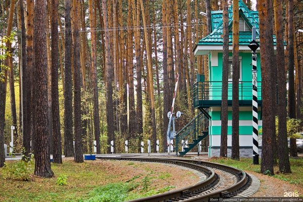 Заельцовский парк Новосибирск Новосибирск