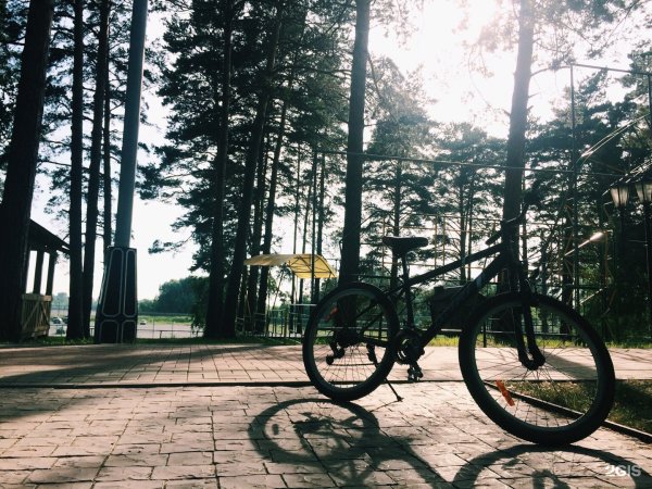 Парк Заельцовский Бор Новосибирск