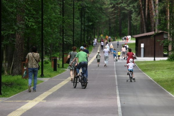 Заельцовский парк Новосибирск