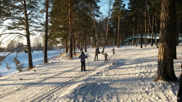 Заельцовский парк Новосибирск зима