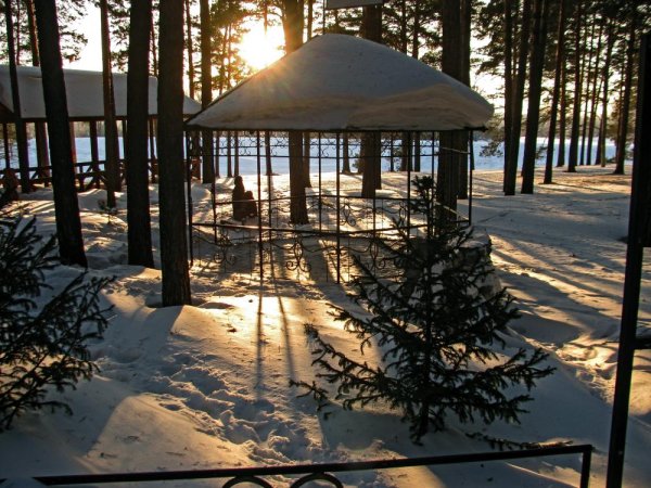 Заельцовский парк Новосибирск