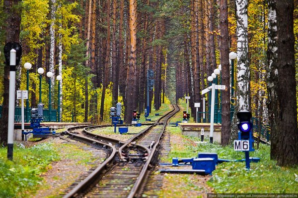 Заельцовский парк ДЖД