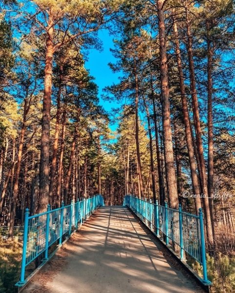 ПКИО Заельцовский