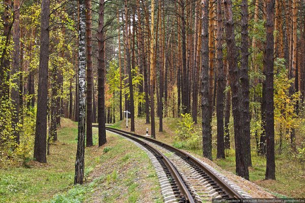Заельцовский парк Новосибирск