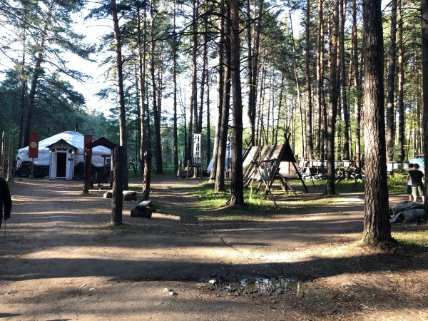 Заельцовский Бор Новосибирск