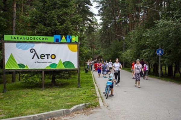 Заельцовский парк Новосибирск реконструкция